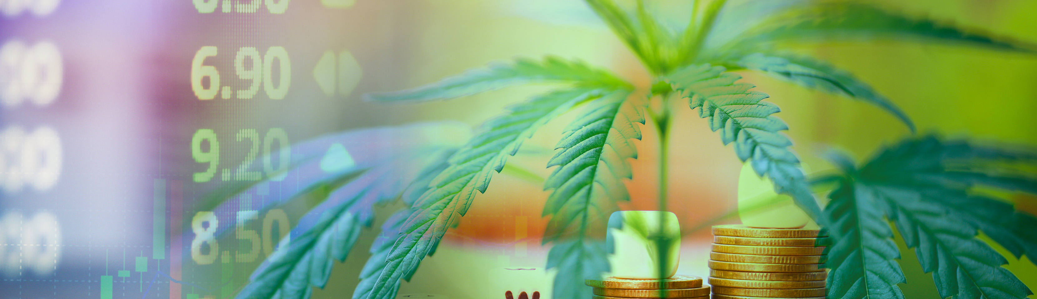 How Cannabis Companies Can Shield Their Trade Secrets