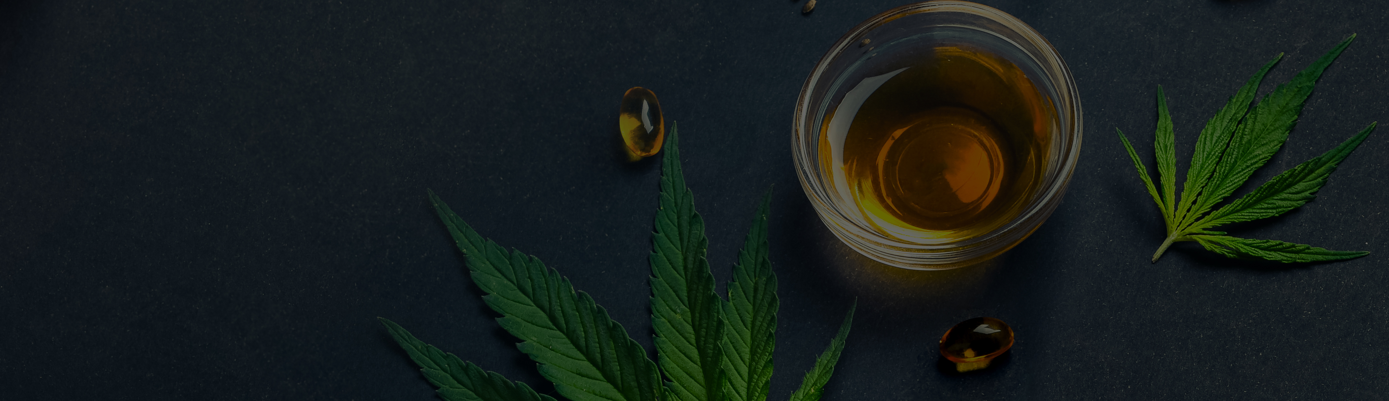 Justin Tepe to Present Cannabis Law Updates at 2022 Public Health Law Summit