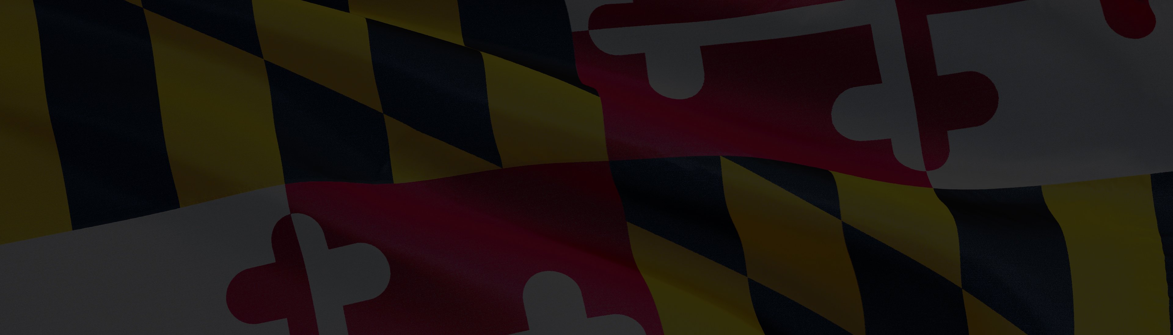 MSBA Panel Reviews Recent Notable Maryland Appellate Decisions