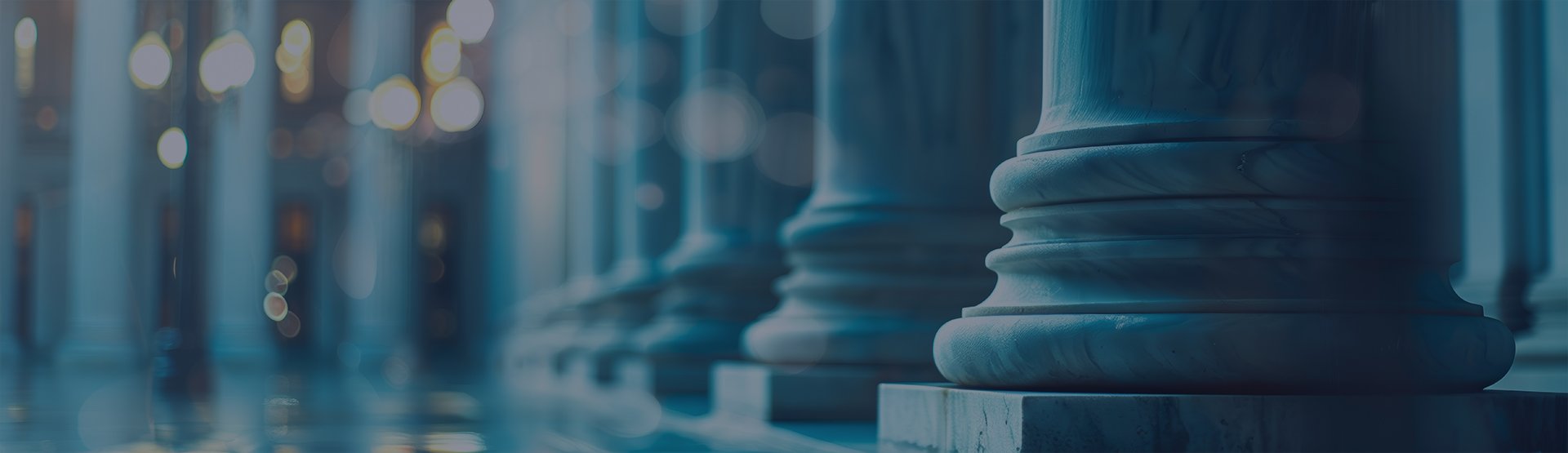 Daniyal Hannan - Appellate and Critical Motions Lawyer 