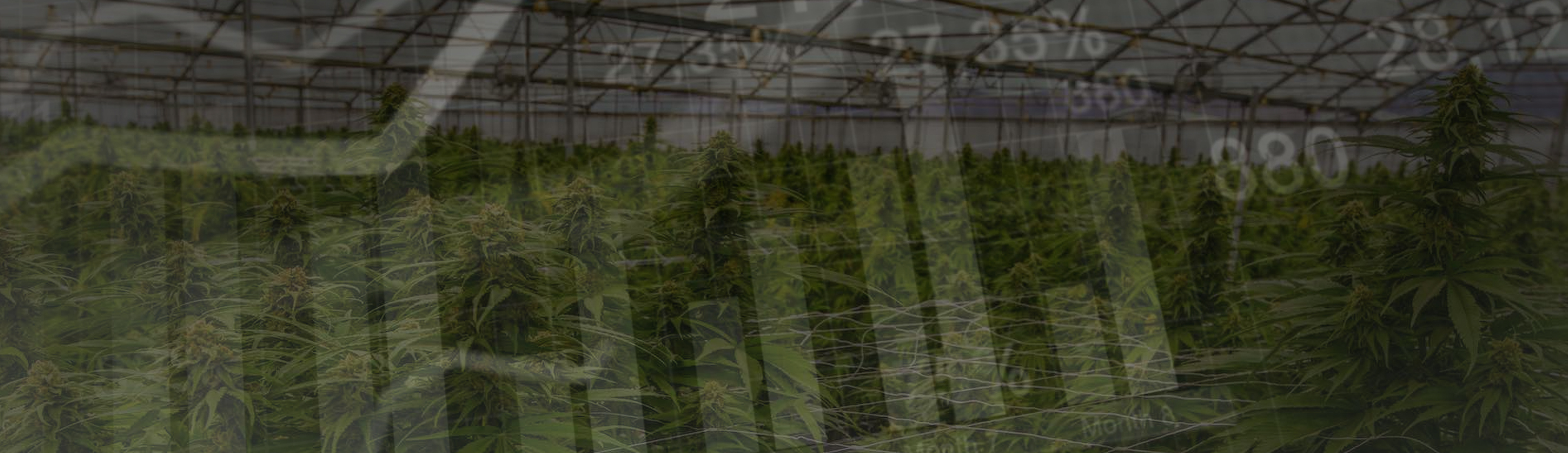 Justin Tepe Quoted on Maryland Cannabis Legislation